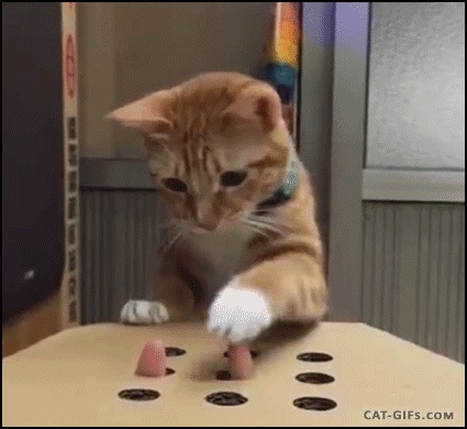 A cat playing Whack-a-mole with a finger